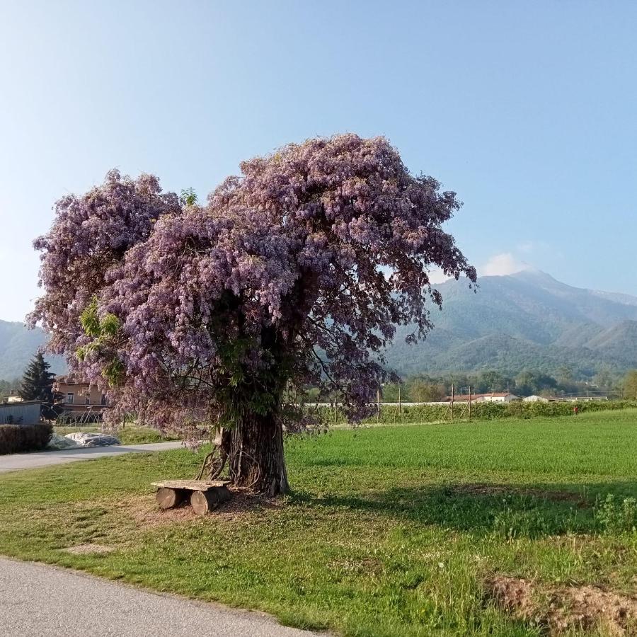 Santino'S House Hotel Peveragno Buitenkant foto